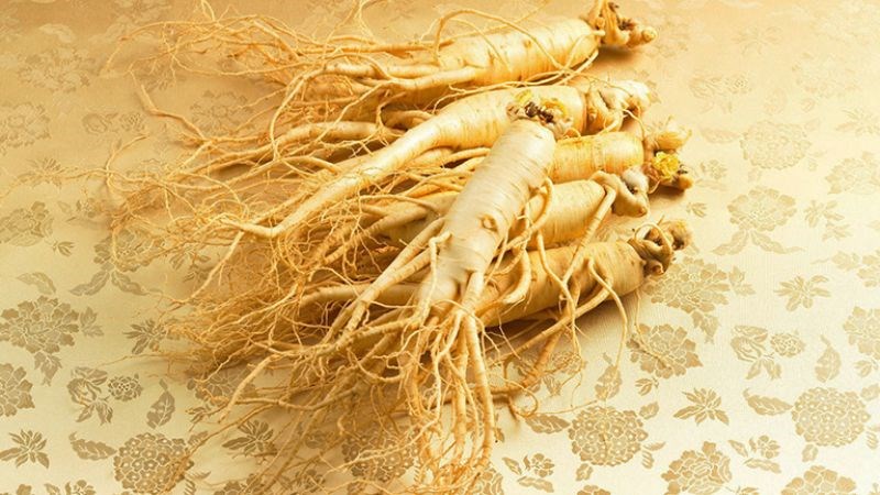 Nhân giúp giúp tăng cường miễn dịch cho cơ thể