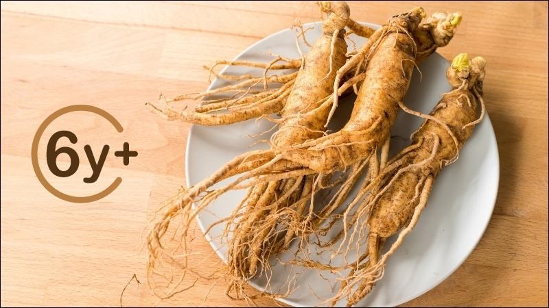 Nhân sâm đủ 6 năm tuổi được các chuyên gia khuyên dùng