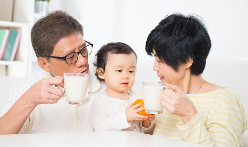 Người già nên dùng 1 - 2 ly sữa mỗi ngày