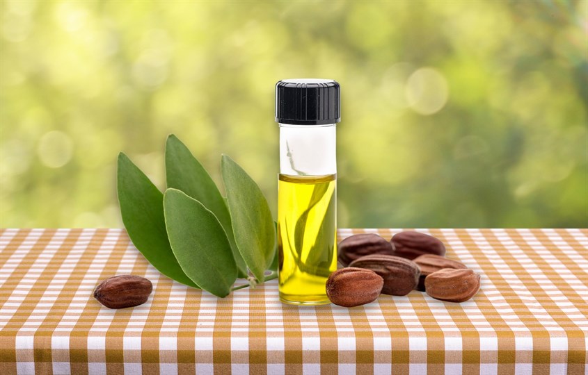 Thành phần dầu mù u mang lại nhiều công dụng có ích cho sức khỏe và làm đẹp Thành phần dầu mù u mang lại nhiều công dụng có ích cho sức khỏe và làm đẹp