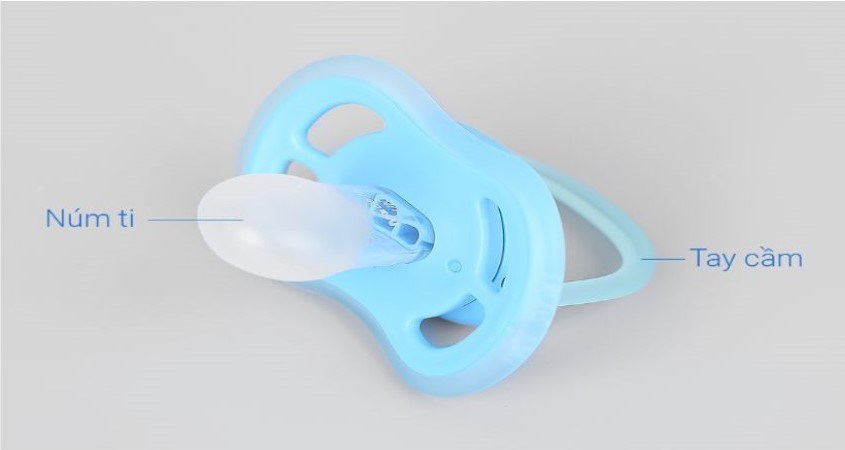 Núm giả hay còn gọi là ti giả