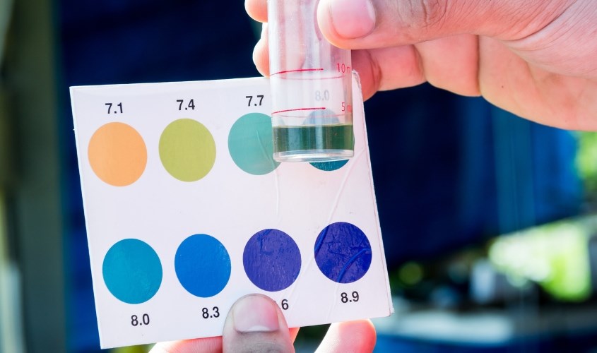 Độ pH giúp bạn kiểm tra nồng độ axit có trong sản phẩm