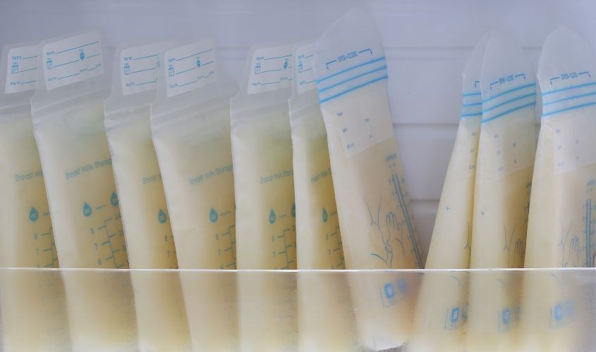 Cho túi vào ngăn đông tủ lạnh