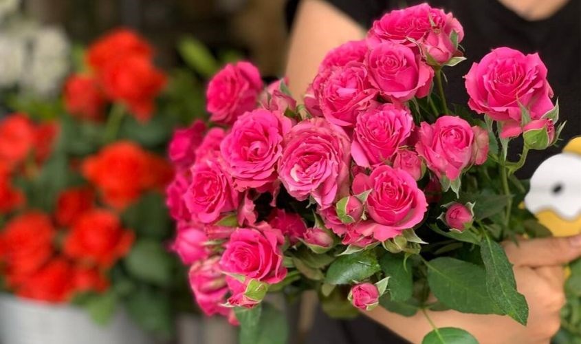 Hoa tươi giúp mang lại cảm giác yêu thương, quan tâm, chăm sóc