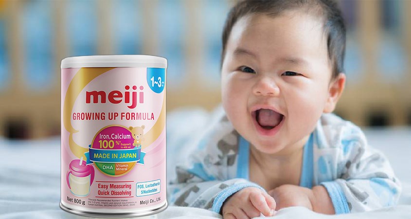 Sữa bột Meiji Growing Up Formula 800g (12 - 36 tháng)