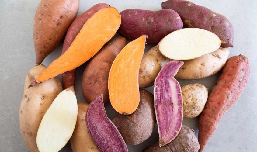 Khoai lang giúp nhuận tràng và chóng táo bón hiệu quả