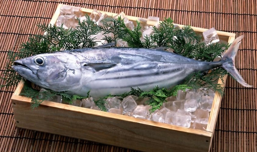 Cá ngừ trắng là loại thực phẩm rất giàu chất kẽm