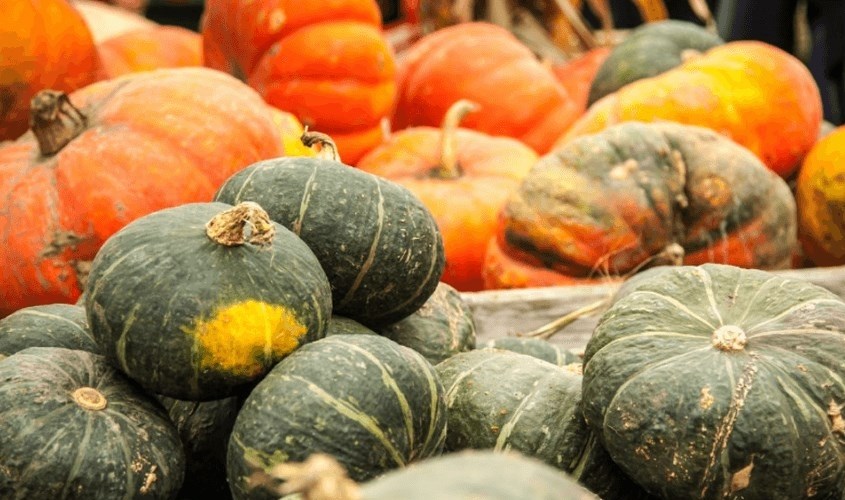 Bí ngô tốt cho sức khỏe đề kháng của bé