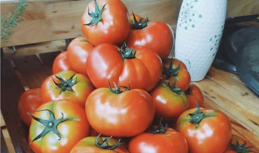 Cà chua là loại quả giàu hàm lượng Vitamin A và Vitamin C rất tốt cho hệ miễn dịch