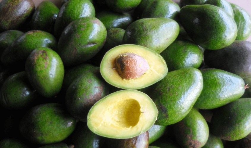 Trong quả bơ có các chất chống ô xy hóa chống viêm, vitamin C