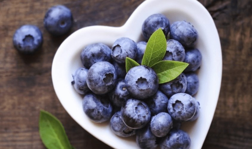 Quả việt quất giàu các chất chống oxy hóa khác nhau, cùng với các vitamin