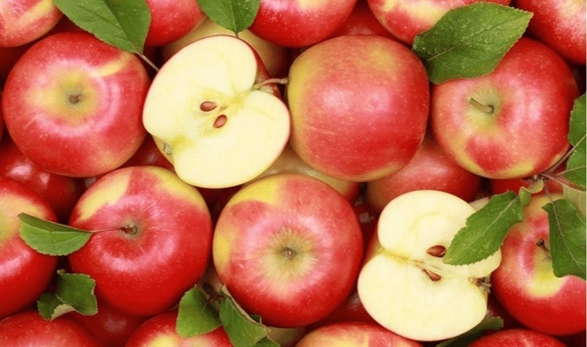 Táo có chứa chất chống oxy hóa phytochemica là chất chống oxy hóa này giúp tăng cường khả năng miễn dịch