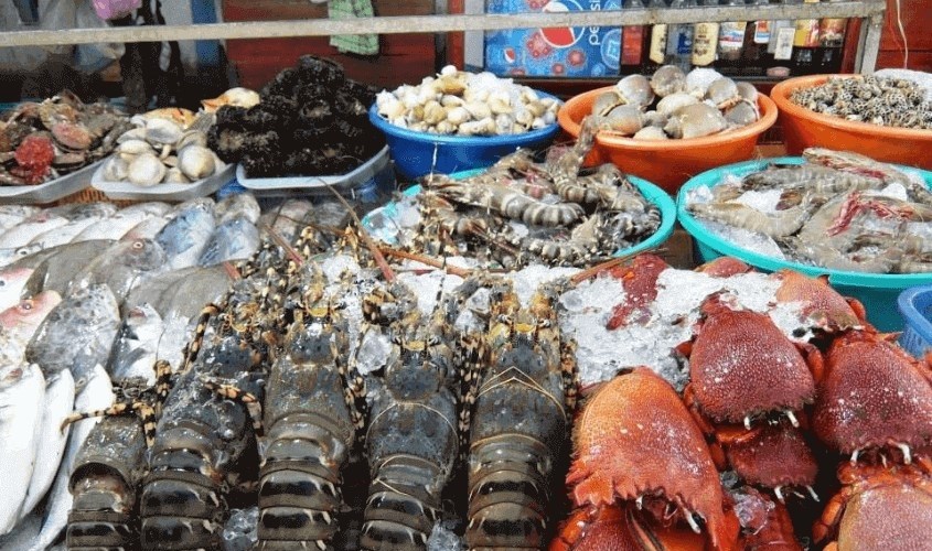 Kẽm là thành phần nổi bật có trong hải sản giúp tăng cường hệ miễn dịch