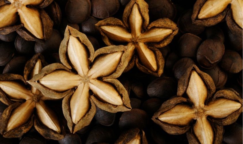 Nên dùng hạt sacha inchi với một liều lượng nhất định