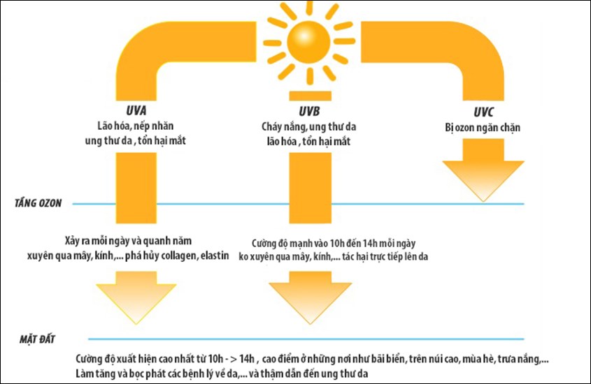 Có 3 loại tia UV: UVA, UVB và UVC