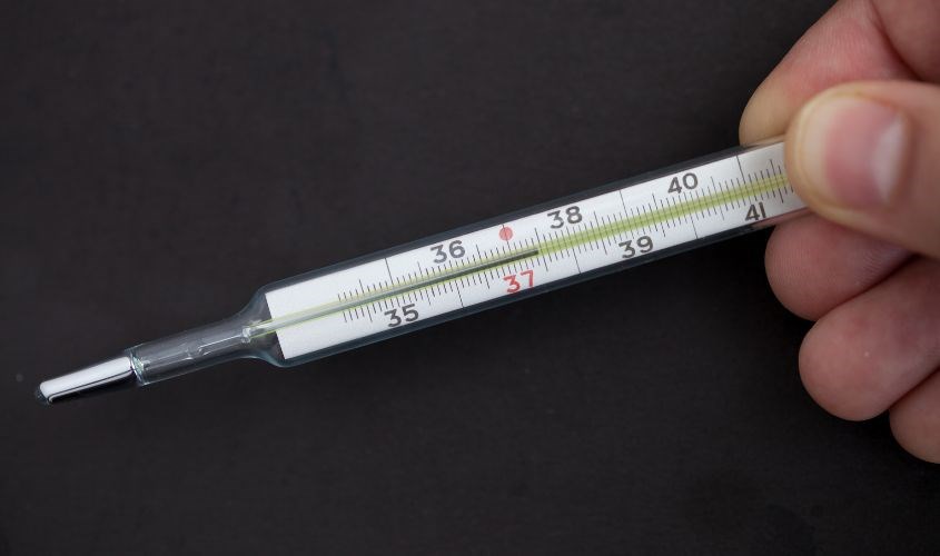 Nhiệt kế thủy ngân