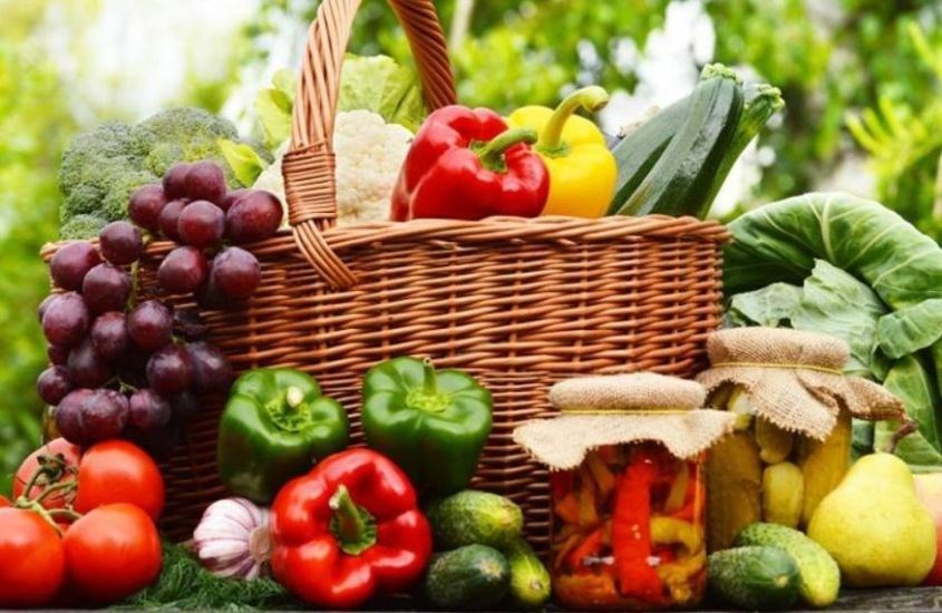 Tác động tích cực lên quá trình hấp thụ canxi và các khoáng chất khác