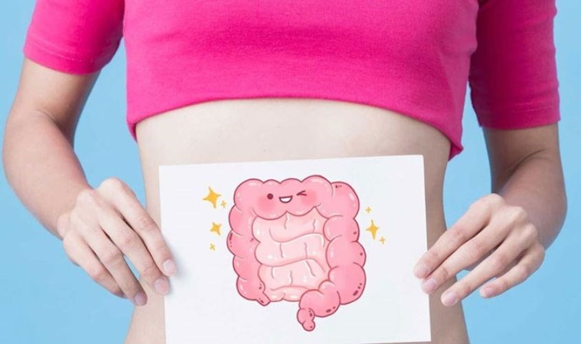 Chất xơ nuôi dưỡng lợi khuẩn trong đường ruột Chất xơ nuôi dưỡng lợi khuẩn trong đường ruột