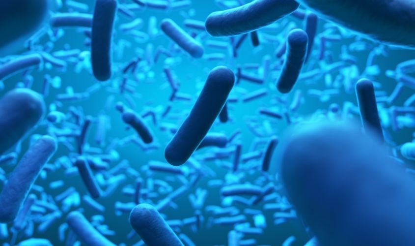 Chất xơ kích thích sự phát triển của lợi khuẩn trong đường ruột Chất xơ kích thích sự phát triển của lợi khuẩn trong đường ruột