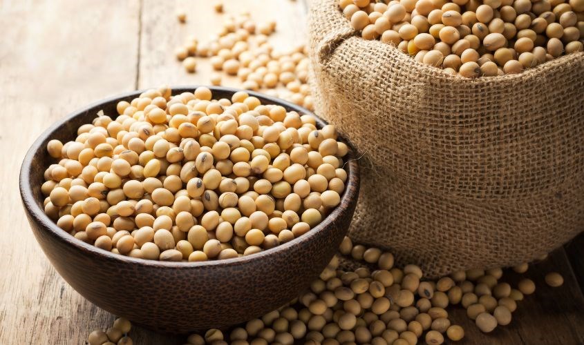 Chất xơ hòa tan mucilage và beta-glucans có trong đậu nành Chất xơ hòa tan mucilage và beta-glucans có trong đậu nành