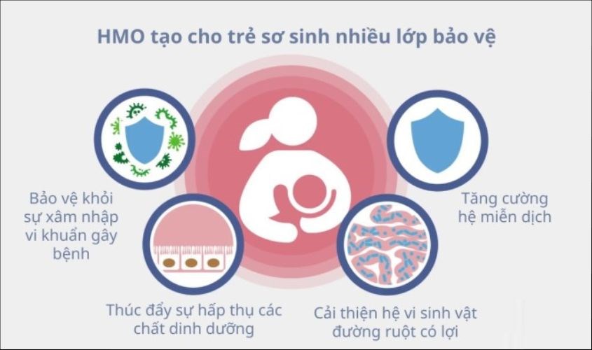 HMO tạo lớp bảo vệ trẻ sơ sinh