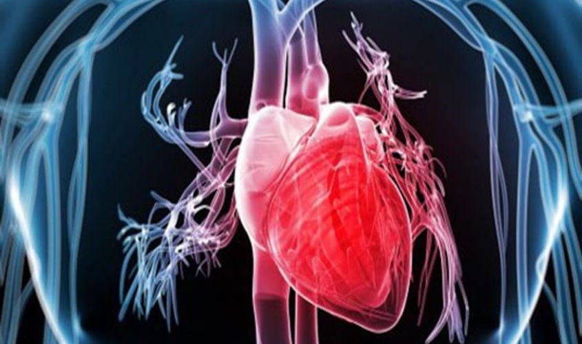 Dầu gấc phòng ngừa bệnh ung thư và tốt cho hệ tim Dầu gấc phòng ngừa bệnh ung thư và tốt cho hệ tim