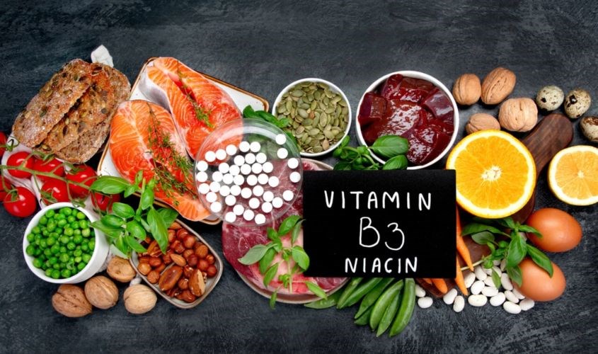 Vitamin B3 thúc đẩy quá trình bài tiết mật