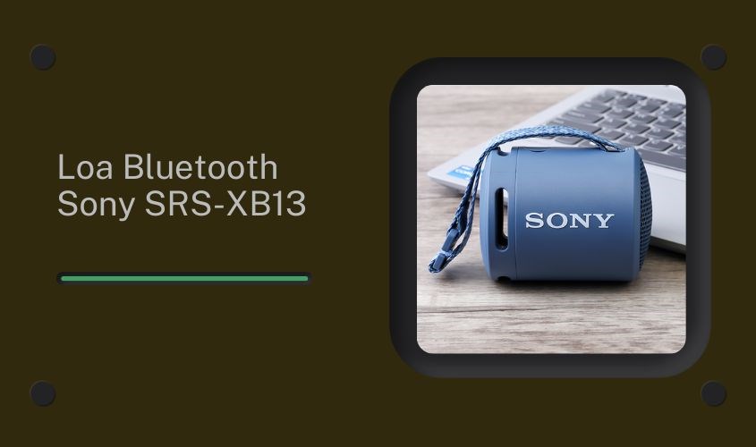 Loa Bluetooth Sony SRS-XB13