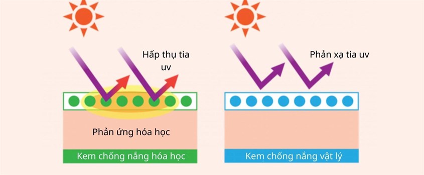 Phân biệt kem chống nắng hóa học và vật lý dựa vào tên gọi và thành phần