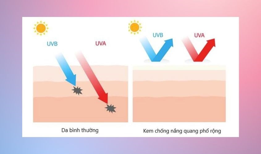 Nên chọn kem chống nắng phổ rộng để chống được cả tia UVA và UVB