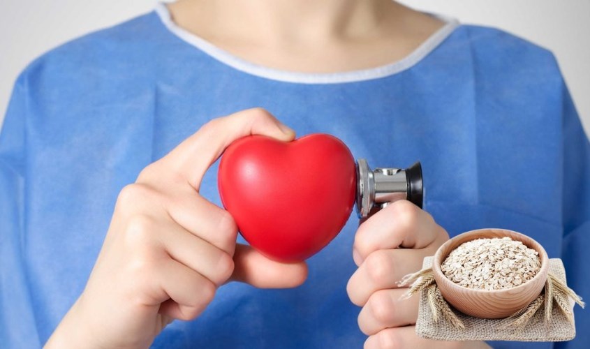 Ăn yến mạch điều độ giúp giảm các cholesteron, ngăn ngừa các bệnh về tim mạch Ăn yến mạch điều độ giúp giảm các cholesterol, ngăn ngừa bệnh về tim mạch hiệu quả