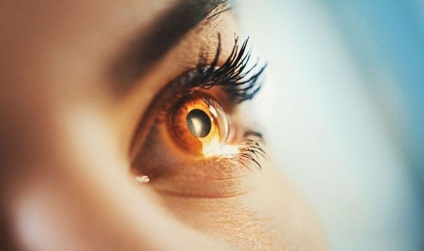 Bảo vệ mắt, phát triển thị lực Bảo vệ mắt, phát triển thị lực