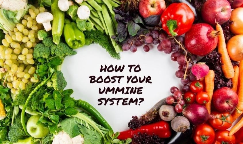 Hỗ trợ một hệ thống miễn dịch khỏe mạnh Hỗ trợ một hệ thống miễn dịch khỏe mạnh