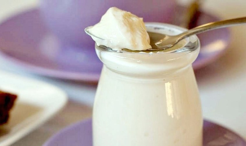 Nếu men sữa chua không chất lượng thì sản phẩm được tạo ra nhanh chóng bị hư,