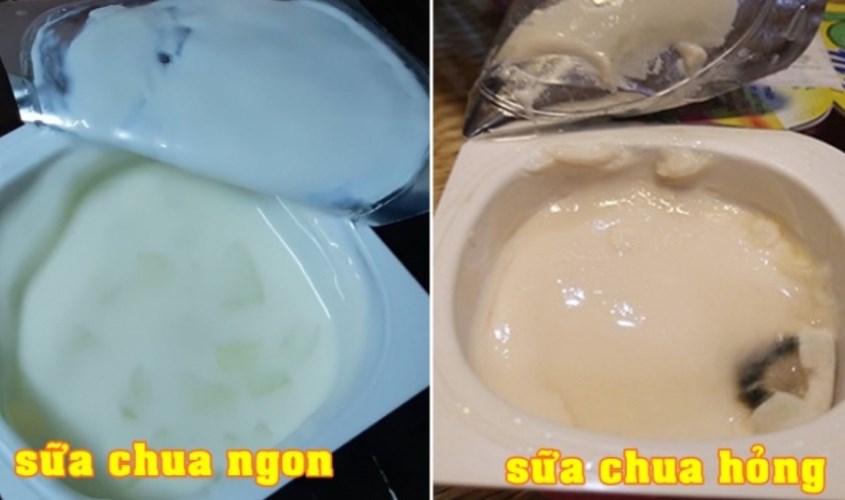 Sữa Chua Để Lâu Có Sao Không? Hướng Dẫn Bảo Quản Và Sử Dụng Hiệu Quả