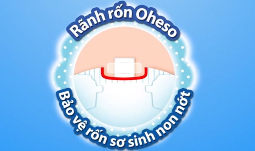 Có rãnh rốn Oheso tinh tế