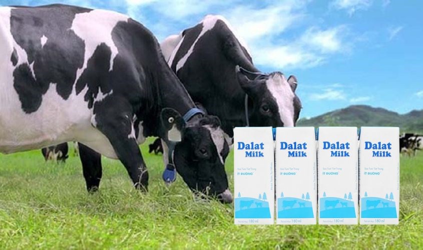 Sữa tươi DalatMilk ít đường 180 ml Lốc 4 hộp sữa tươi DalatMilk ít đường 180 ml