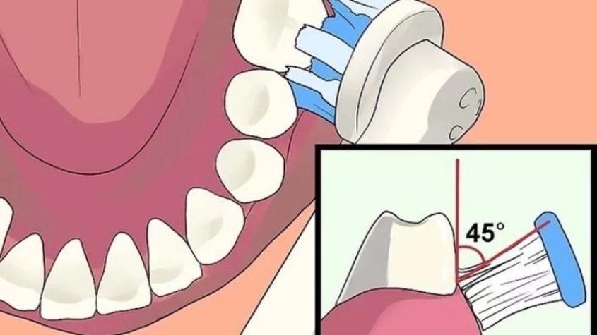 Bước 3: Đặt bàn chải đánh răng dọc theo đường viền nướu