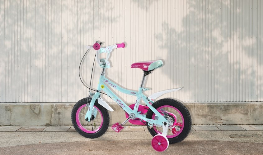 Xe đạp trẻ em AVAcycle Paris JY905-12 12 inch