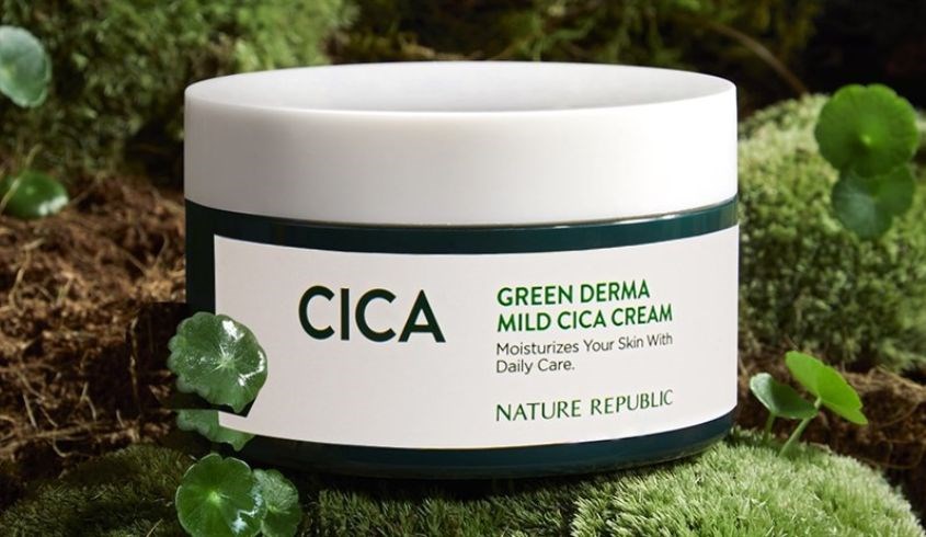 Có thể sử dụng kem dưỡng da chiết xuất rau má và keo ong Nature Republic Green Derma 190 ml để cấp ẩm cho da