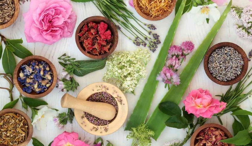 Nên sử dụng sữa rửa mặt có thành phần chiết xuất từ thiên nhiên