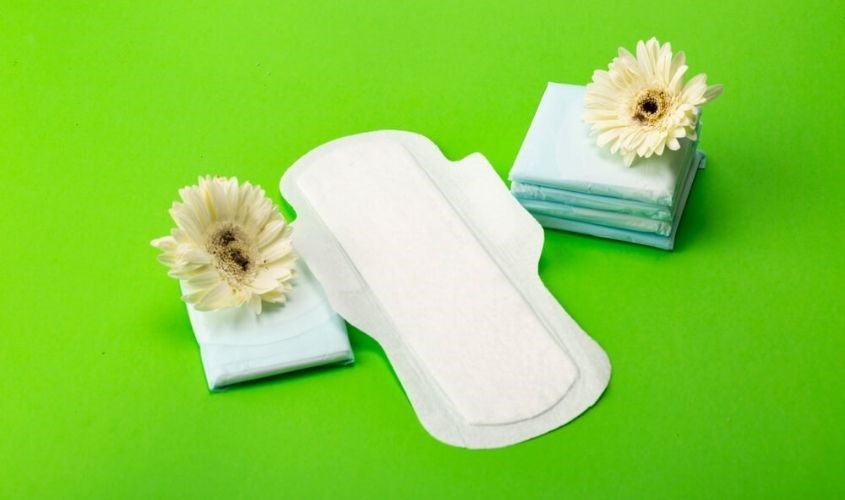 Băng vệ sinh thấm hút và tạo độ ẩm cao nên có thể dùng để gieo hạt rất tốt