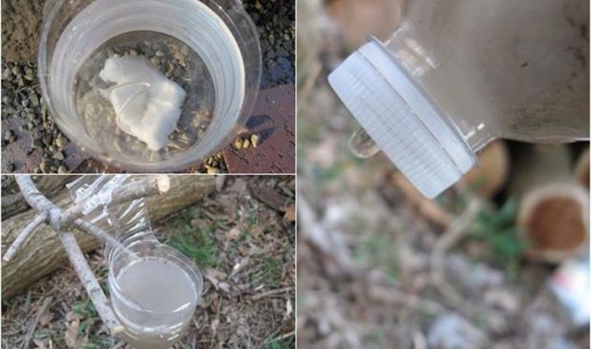 Nơi ao hồ tù bí không có nguồn nước sạch bạn có thể dùng băng vệ sinh để lọc nước