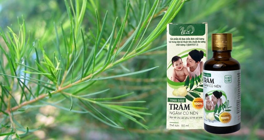 Tinh dầu tràm củ nén Mệ Đoan