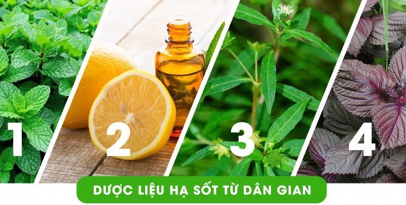 Thành phần an toàn