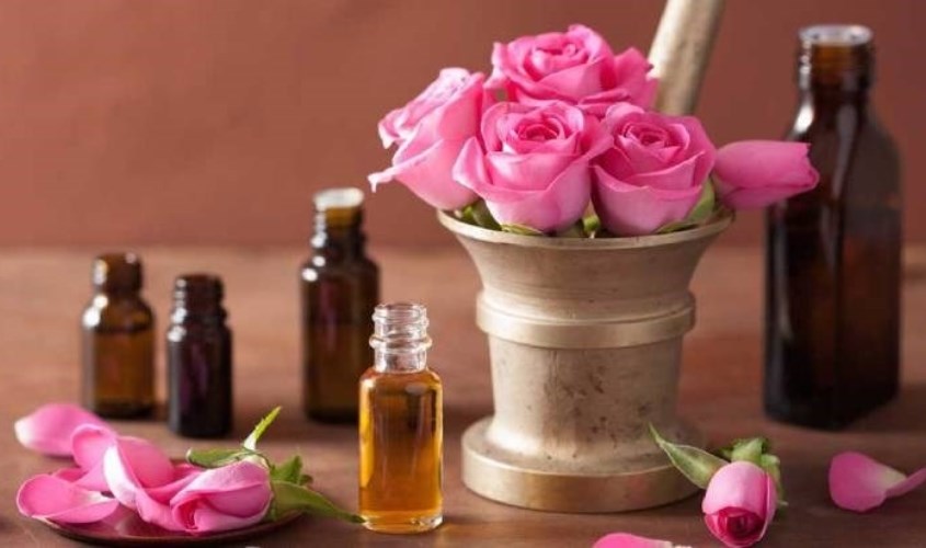 Tinh dầu hoa hồng có khả năng giảm co thắt hệ hô hấp