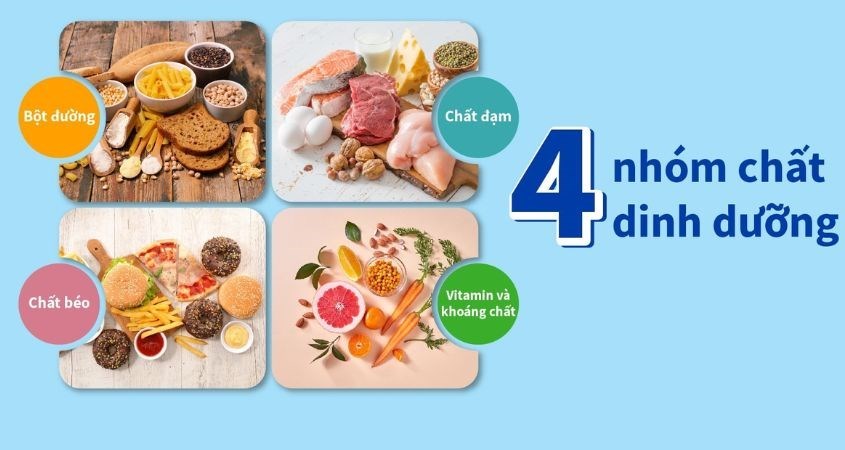 Đảm bảo đủ các chất dinh dưỡng cần thiết