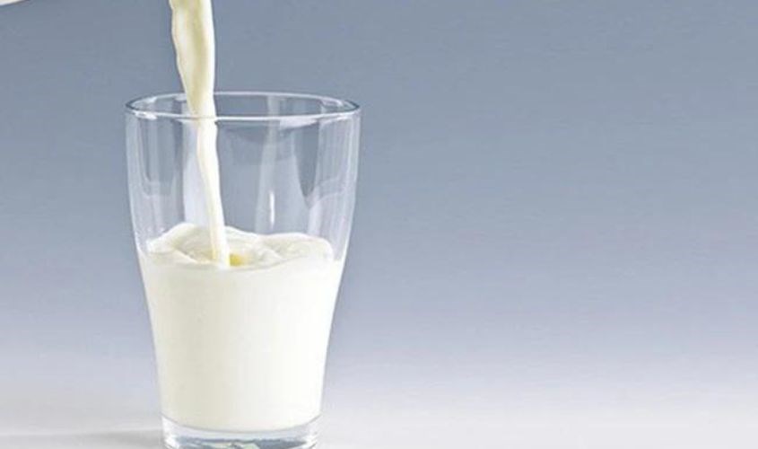 Chuẩn bị 1/2 ly sữa tươi không đường 