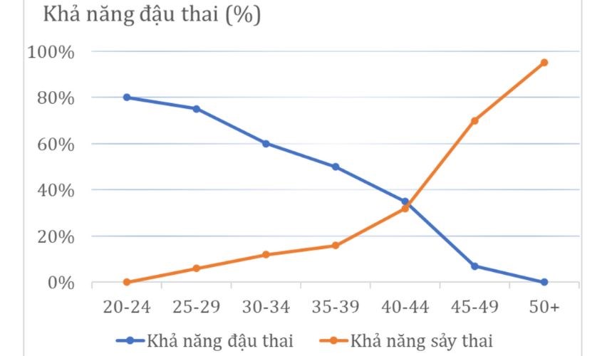 Biểu đồ khả năng đậu thai theo từng độ tuổi. Nguồn ảnh: Youtube Bs. Hoàng Quốc Tưởng