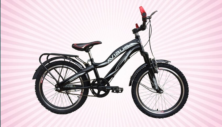Xe đạp Avibus size 20